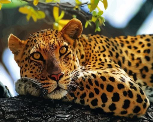 Leopard In Tree Animal Diamond Painting