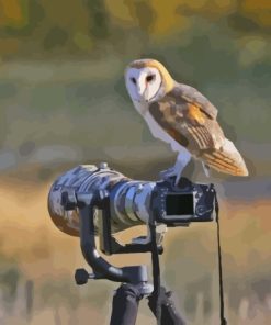 Owl Bird And Camera Diamond Painting