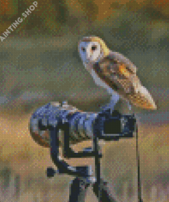 Owl Bird And Camera Diamond Painting