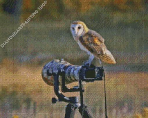 Owl Bird And Camera Diamond Painting