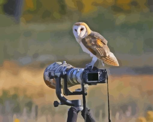 Owl Bird And Camera Diamond Painting