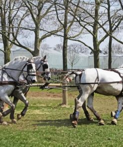 Percheron Horses Diamond Painting