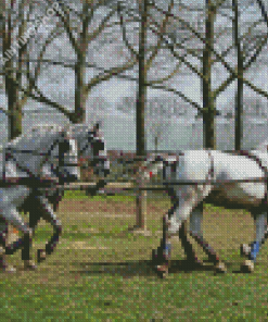 Percheron Horses Diamond Painting