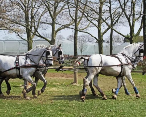 Percheron Horses Diamond Painting