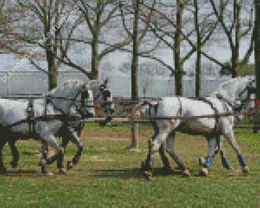 Percheron Horses Diamond Painting