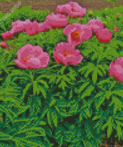 Pink Peony Officinalis Flowers Diamond Painting