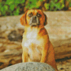 Puggle Art Diamond Painting