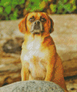 Puggle Art Diamond Painting