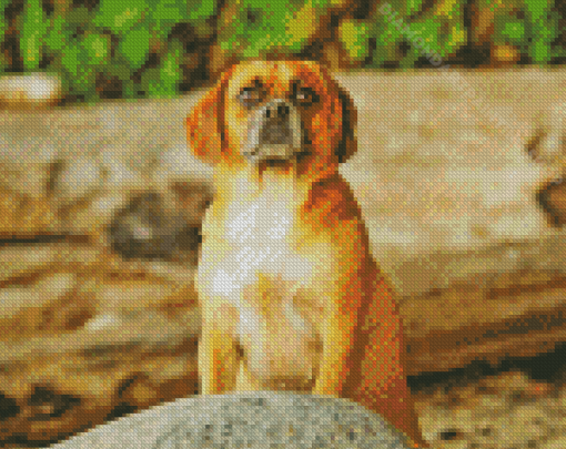 Puggle Art Diamond Painting