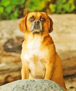 Puggle Art Diamond Painting