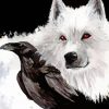 Raven And Wolf Diamond Painting