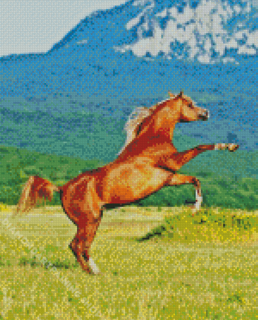 Rearing Horse Animal Diamond Painting