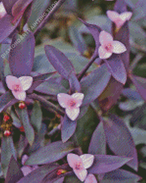 Setcreasea Pallida Purple Plant Diamond Painting