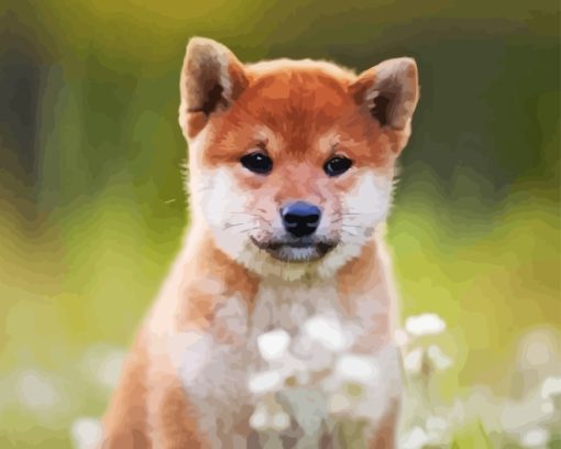 Shiba Inu Puppy Sitting In Flower Field Diamond Painting