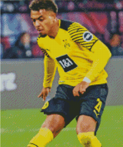 The Footballer Donyell Malen Diamond Painting