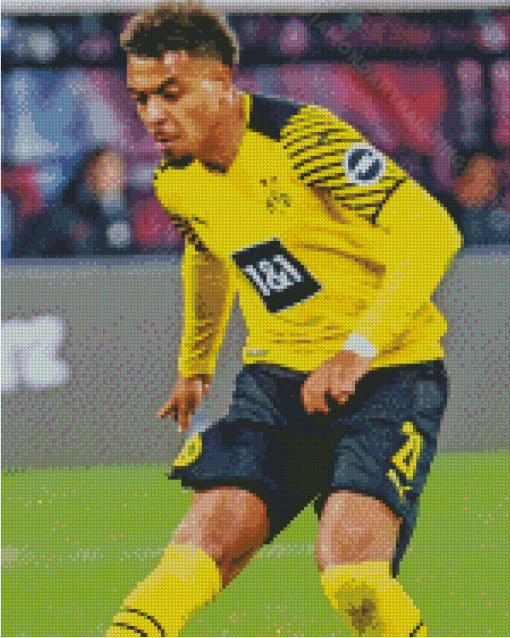 The Footballer Donyell Malen Diamond Painting