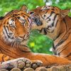 Tigers In Love In Jungle Diamond Painting