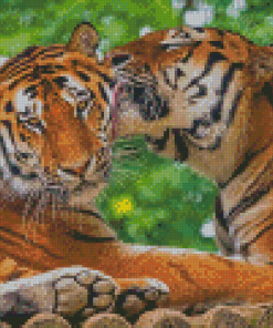 Tigers In Love In Jungle Diamond Painting