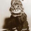 Vintage Military Cat Diamond Painting