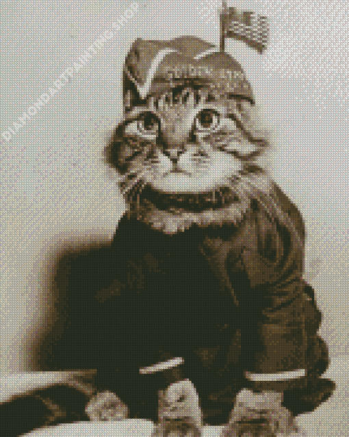 Vintage Military Cat Diamond Painting