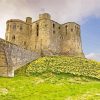 Warkworth Castle With Daffodils In England For Diamond Painting