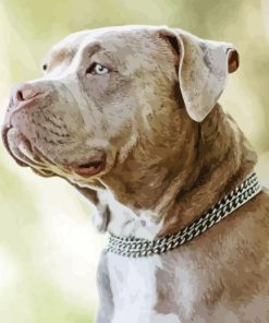 American Bully Diamond Painting