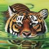 Big Cat Tiger In Water Diamond Painting