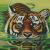 Big Cat Tiger In Water Diamond Painting