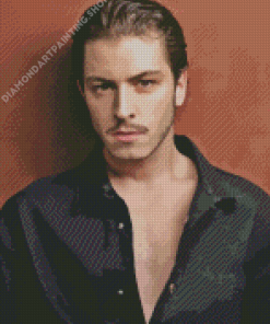 Boran Kuzum Turkish Actor Diamond Painting