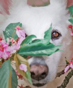 Close Up Cute White Swiss Shepherd Diamond Painting