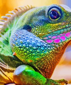 Colorful Iguana Saurian Diamond Painting