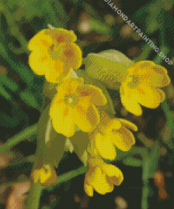 Cowslip Plant Diamond Painting