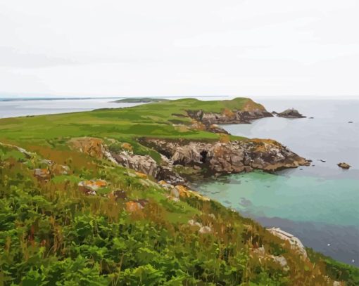 Great Saltee Island Diamond Painting