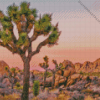 Joshua Tree National Park Diamond Painting