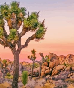 Joshua Tree National Park Diamond Painting