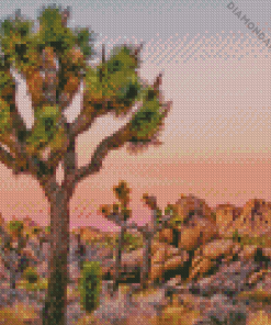 Joshua Tree National Park Diamond Painting