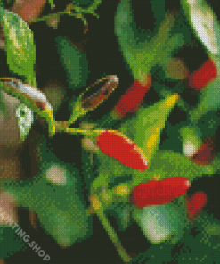 Pequin Pepper Diamond Painting