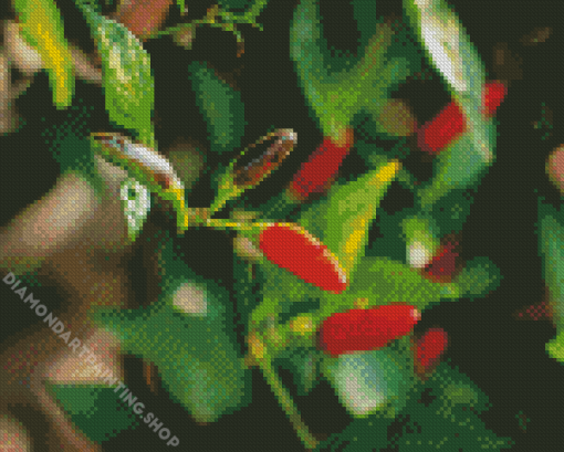 Pequin Pepper Diamond Painting