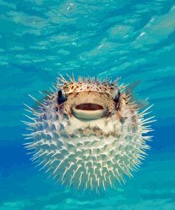 Puffer Fish Diamond Painting