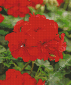 Red Geranium Diamond Painting