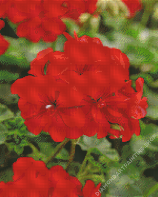 Red Geranium Diamond Painting