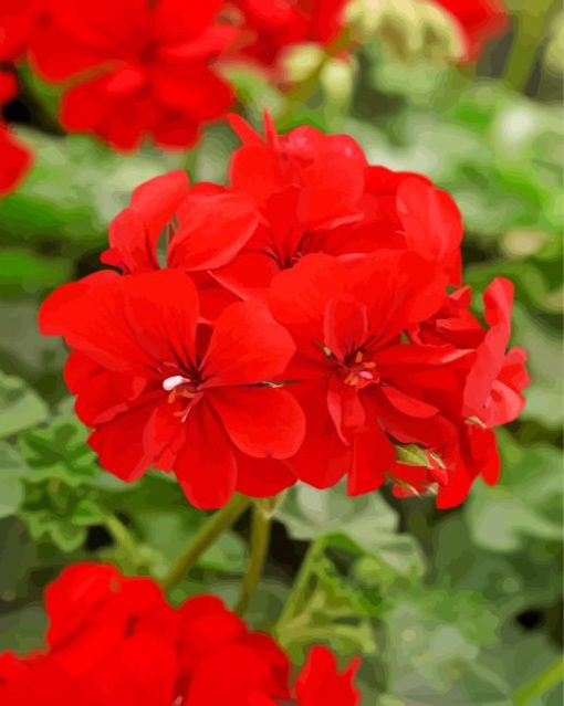 Red Geranium Diamond Painting