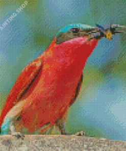 Southern Carmine Bee Eater Eating Wasp Diamond Painting