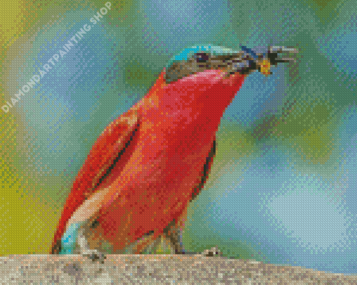 Southern Carmine Bee Eater Eating Wasp Diamond Painting