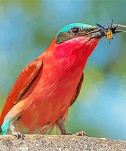 Southern Carmine Bee Eater Eating Wasp Diamond Painting