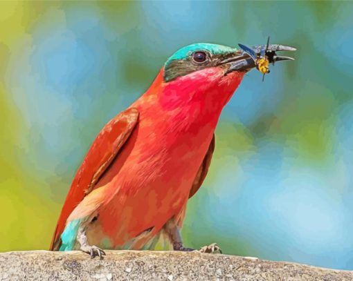 Southern Carmine Bee Eater Eating Wasp Diamond Painting