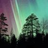 Trees At Night With Aurora Lights Diamond Painting