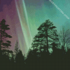 Trees At Night With Aurora Lights Diamond Painting