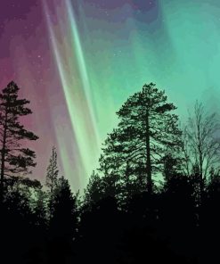 Trees At Night With Aurora Lights Diamond Painting