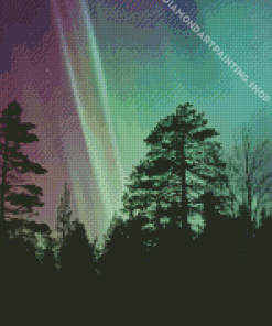 Trees At Night With Aurora Lights Diamond Painting